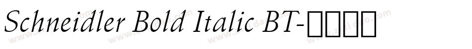 Schneidler Bold Italic BT字体转换